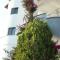 BLISS Hotel