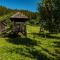 Bucovina Lodge Pension - Vama