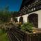 Bucovina Lodge Pension - Vama
