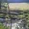 The Granary Corris on the edge of the Dyfi Forest - Corris