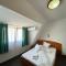 Hotel Pescarus Port Bicaz - 比卡兹