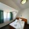 Hotel Pescarus Port Bicaz - 比卡兹