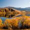 Tussock Cottage - Queenstown