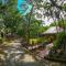 The Mayan Garden