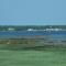 Seaside Serenity Cottage - Shelburne