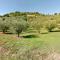 Country House with swimming pool and garden with Mediterranean plants