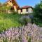 Traditional Cottage - Vila Samovila