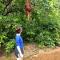 Jungle View Homestay & Guesthouse - Bukit Lawang