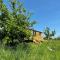 Woodpecker Hill - apple orchard in Alfriston - Alfriston