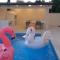 Villa Salvore - new luxury house, heated pool, near beaches, playroom - Istria