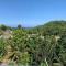 Serenity 2-Bed Apartment in Port Antonio - 安东尼奥港
