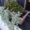 Apartman Mijatovic