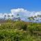 Maui Kaanapali Villas #A317