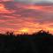 New Forest View