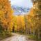 247 Davis Cup Drive #4212
