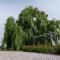 Chez PhiL - Le calme proche de Revel, Castelnaudary, Carcassonne