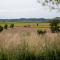 Chez PhiL - Le calme proche de Revel, Castelnaudary, Carcassonne