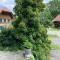 B&B tannen124