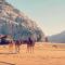 Wadi Rum Gulf camp