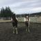Sherwood Ranch Cottages - 403 Woodbank Road