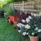 Le Jardin des Murmures