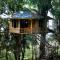Nature Zone Jungle Resort- Experience the Wilderness & Adventure