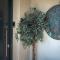 Villa Dianne Apt 1 Livadi Arachovas