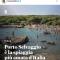LiCaseDiMare