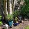 Le Jardin des Murmures
