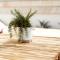 Loft Alguer II con terraza, barbacoa y chimenea