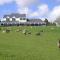 Country Homestead at Black Sheep Farm