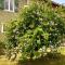 Pyrenees Vue Gite - Vues Fantastique, Parking Gratuit Sur Place & Piscine - 圣戈当