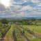 Wine & Space Lodge at Lake Balaton