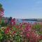 Detached Bungalow in North Cornwall