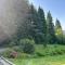 Bodea Alpenblick