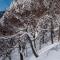 Morino Lodge - Myoko - Myoko