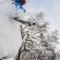 Morino Lodge - Myoko
