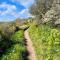 Just Opened. Romantic Clifftop Retreat - Portloe