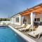 Spacious holiday home in Valbandon with private pool - Valbandon