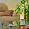 Villa in Solin with Private Pool and Garden