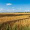 Work & Travel _ EcoStay _ Środa Wielkopolska