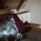 B&B Martinushoeve