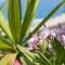 Beachfront Comfort Apartment NIVES