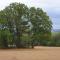 Chalet in Gerolstein with forest - Hinterhausen