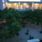 Apartments Obala - Katić - Херцег-Нови