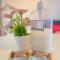 Peanut Butter Homestay #Trefoil Setia City