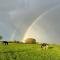 Appaloosa suite with amazing views of stud farm. - 大德里菲尔德