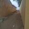CasaCanda king size