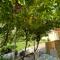 Apartments and Rooms Markovski