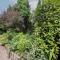 Garden Apartment
